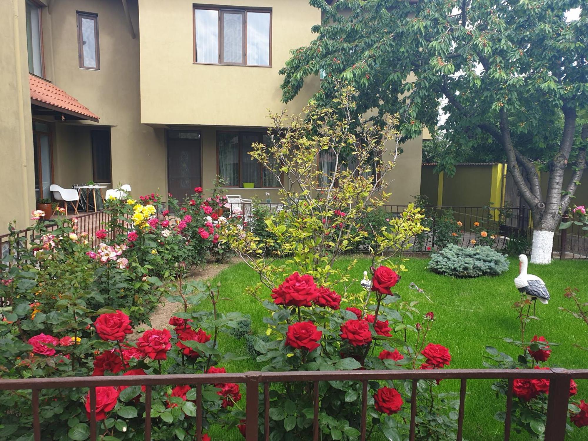 Villa Mugur Două Mai Εξωτερικό φωτογραφία