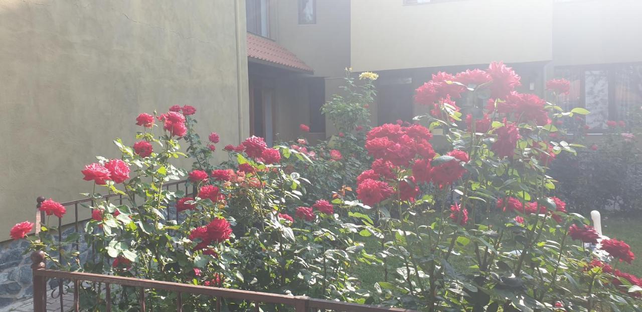 Villa Mugur Două Mai Εξωτερικό φωτογραφία