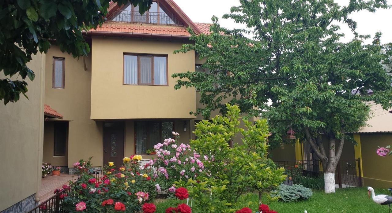 Villa Mugur Două Mai Εξωτερικό φωτογραφία